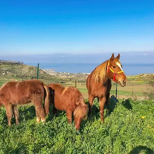  Appartamento Panoramica Sul Mare